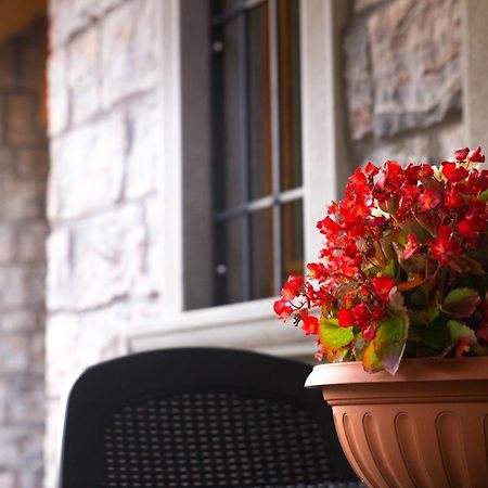 B&B San Pellegrino Terme Zogno Екстер'єр фото