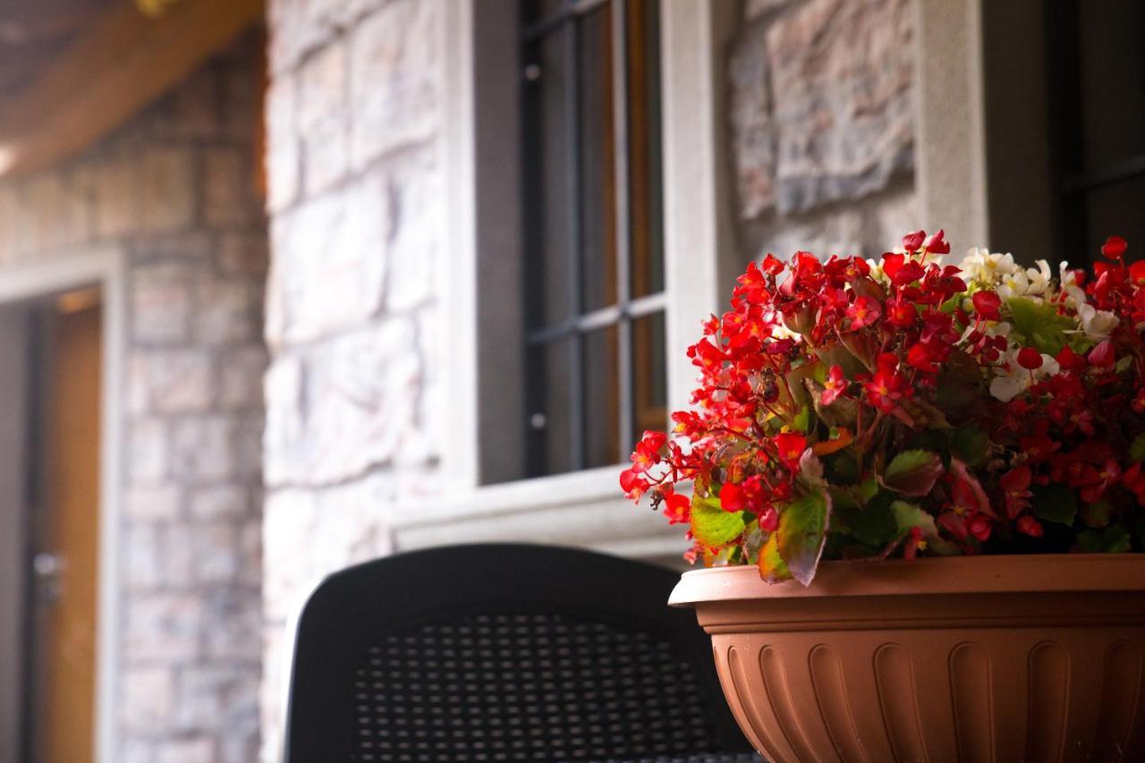 B&B San Pellegrino Terme Zogno Екстер'єр фото